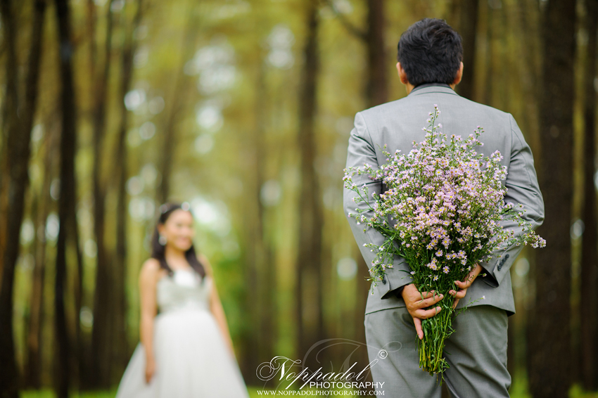 ม่อนฝ้าย,ช่างภาพเชียงใหม่,ถ่ายภาพ,เชียงใหม่,รับถ่ายภาพเชียงใหม่,สตูเชียงใหม่,สถานที่ถ่ายเชียงใหม่,หาช่างภาพเชียงใหม่,ม่อนฝ้าย,โรงแรมเชียงใหม่,ล้านนา,แต่งงานแบบล้านนา,งานหมั้น 