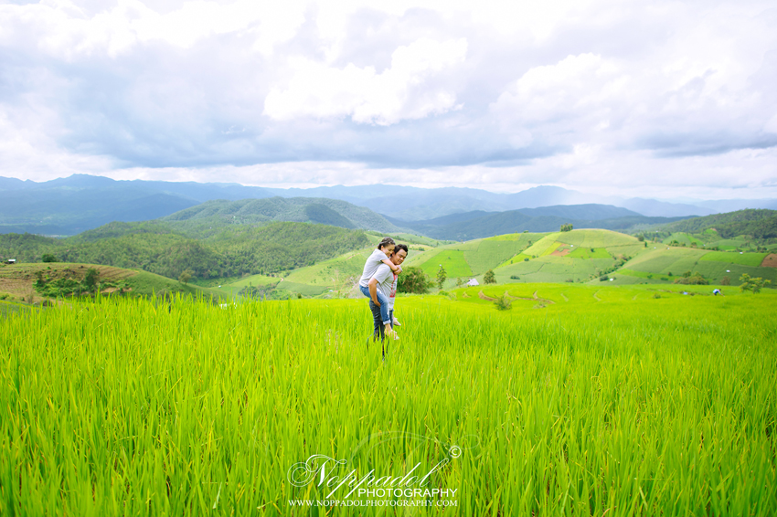 ม่อนฝ้าย,ช่างภาพเชียงใหม่,ถ่ายภาพ,เชียงใหม่,รับถ่ายภาพเชียงใหม่,สตูเชียงใหม่,สถานที่ถ่ายเชียงใหม่,หาช่างภาพเชียงใหม่,ม่อนฝ้าย,โรงแรมเชียงใหม่,ล้านนา,แต่งงานแบบล้านนา,งานหมั้น 