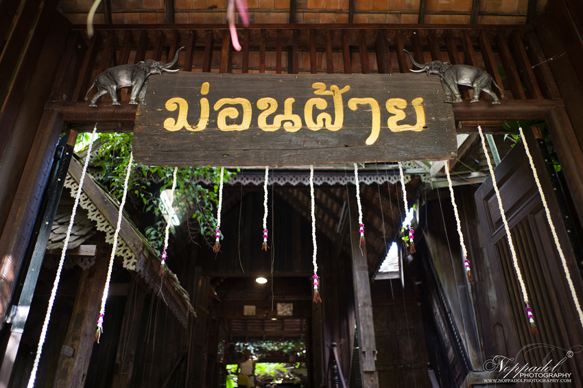 รับถ่ายภาพแต่งงาน ถ่ายวีดีโองานแต่งงาน ศูนย์วัฒนธรรม บ้านม่อนฝ้าย เชียงใหม่ งานแต่งงานแบบ ล้านนา ซึ่งกำลังเป็นที่นิยมของทั้งชาวต่างประเทศ และชาวไทย ซึ่งได้เห็นความสำคัญของ ประเพณีล้านนา ที่งดงามและควรค่าแก่การอนุรักษ์ เราบริการถ่ายภาพบรรยากาศงานแต่งงาน ถ่ายวีดีโอ บรรยากาศงานแต่งงาน โดยช่างภาพและทีมงานมืออาชีพ ม่อนฝ้าย เชียงใหม่ ช่างภาพเชียงใหม่ หาช่างภาพเชียงใหม่ รับถ่ายภาพแต่งงาน ถ่ายวีดีโองานแต่งงาน ศูนย์วัฒนธรรม บ้านม่อนฝ้าย เชียงใหม่ งานแต่งงานแบบ ล้านนา ซึ่งกำลังเป็นที่นิยมของทั้งชาวต่างประเทศ และชาวไทย ซึ่งได้เห็นความสำคัญของ ประเพณีล้านนา ที่งดงามและควรค่าแก่การอนุรักษ์ เราบริการถ่ายภาพบรรยากาศงานแต่งงาน ถ่ายวีดีโอ บรรยากาศงานแต่งงาน โดยช่างภาพและทีมงานมืออาชีพ ม่อนฝ้าย เชียงใหม่ ช่างภาพเชียงใหม่ หาช่างภาพเชียงใหม่