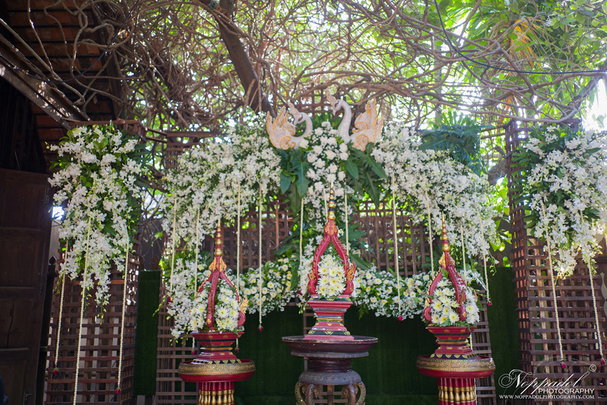 รับถ่ายภาพแต่งงาน ถ่ายวีดีโองานแต่งงาน ศูนย์วัฒนธรรม บ้านม่อนฝ้าย เชียงใหม่ งานแต่งงานแบบ ล้านนา ซึ่งกำลังเป็นที่นิยมของทั้งชาวต่างประเทศ และชาวไทย ซึ่งได้เห็นความสำคัญของ ประเพณีล้านนา ที่งดงามและควรค่าแก่การอนุรักษ์ เราบริการถ่ายภาพบรรยากาศงานแต่งงาน ถ่ายวีดีโอ บรรยากาศงานแต่งงาน โดยช่างภาพและทีมงานมืออาชีพ ม่อนฝ้าย เชียงใหม่ ช่างภาพเชียงใหม่ หาช่างภาพเชียงใหม่ รับถ่ายภาพแต่งงาน ถ่ายวีดีโองานแต่งงาน ศูนย์วัฒนธรรม บ้านม่อนฝ้าย เชียงใหม่ งานแต่งงานแบบ ล้านนา ซึ่งกำลังเป็นที่นิยมของทั้งชาวต่างประเทศ และชาวไทย ซึ่งได้เห็นความสำคัญของ ประเพณีล้านนา ที่งดงามและควรค่าแก่การอนุรักษ์ เราบริการถ่ายภาพบรรยากาศงานแต่งงาน ถ่ายวีดีโอ บรรยากาศงานแต่งงาน โดยช่างภาพและทีมงานมืออาชีพ ม่อนฝ้าย เชียงใหม่ ช่างภาพเชียงใหม่ หาช่างภาพเชียงใหม่