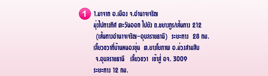 บิบี๋สตูดิโอ อำนาจเจริญ  สตูดิโอแต่งงาน อำนาจเจริญ  บริการถ่ายภาพ prewedding ถ่ายภาพงานแต่งงาน ให้เช่าชุดเจ้าบ่าวเจ้าสาว แต่งหน้าเจ้าสาว จัดงานแต่งงานแบบครบวงจร    