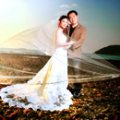 Fullrich  Photo