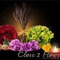 Close 2 Flowe Wedding Planner Organizer