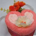 Pailin Towel CAKE 
