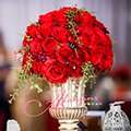 168 Alinfini Wedding Planner
