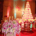 Wedding Lover