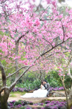 Memory Studio - ผลงานถ่ายภาพ Outdoor บรรยากาศธรรมชาติ ^^ ที่อ่างขาง