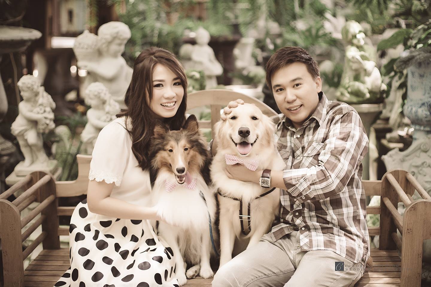 prewedding vintage dog หมา little tree garden colorfulfoto