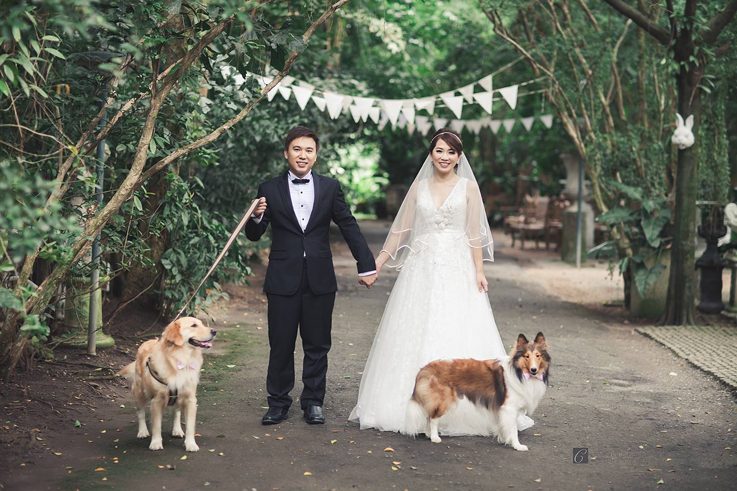 prewedding vintage dog หมา little tree garden colorfulfoto