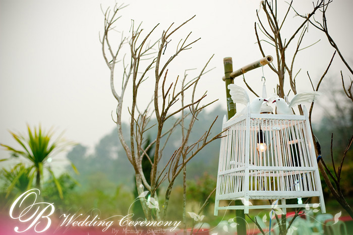 เมโมรี่สตูดิโอ : Memory Studio เชียงราย  สตูดิโอ เชียงราย  wedding studio  ถ่ายภาพเชียงราย, ตากล้องเชียงราย สตูดิโอแต่งงาน เชียงราย ,  wedding dress  ชุดแต่งงาน Collection ใหม่ , ชุดแต่งงานสไตล์แบบไทย  , การ์ดแต่งงาน ,  Wedding Ceremony ช่างภาพวันงานแต่งงาน