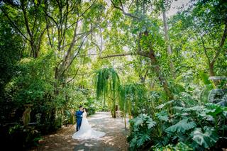 โปรโมชั่น,แพ็คเกจถ่ายรูปแต่งงาน , แพ็คเกจถ่ายพรีเวดดิ้ง , Pre Wedding Pakage , ถ่ายรูปแต่งงาน , ชุดไทย , ชุดเจ้าสาว เช่าชุดแต่งงาน ,  ถ่ายรูปแต่งงานราคาถูก , ถ่ายภาพ , แต่งงาน , ถ่ายรูป , แต่งงาน ,  ร้านถ่ายรูปแต่งงาน , สตูดิโอ , เวดดิ้งสตูดิโอ 