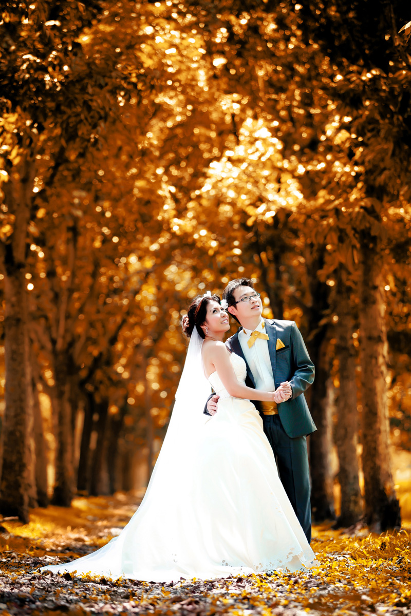วาสินี เวดดิ้ง สตูดิโอ พิษณุโลก , แต่งงาน พิษณุโลก , Wedding Studio พิษณุโลก , Studio พิษณุโลก , โปรโมชั่นสุดคุ้ม ,แพคเกจถ่ายพรีเวดดิ้ง , แพคเกจแต่งงาน , Wedding Organizer ,Wedding Planner , จัดงานแต่งงานครบวงจร